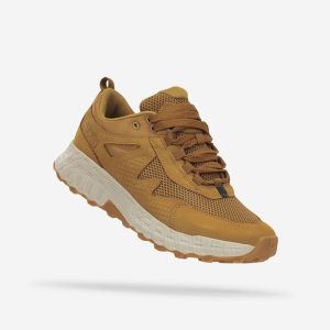 נעלי Lifestyle Terra Free Ride AT185 לגברים בצבע כאמל